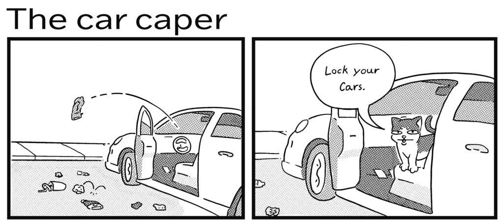 The car caper