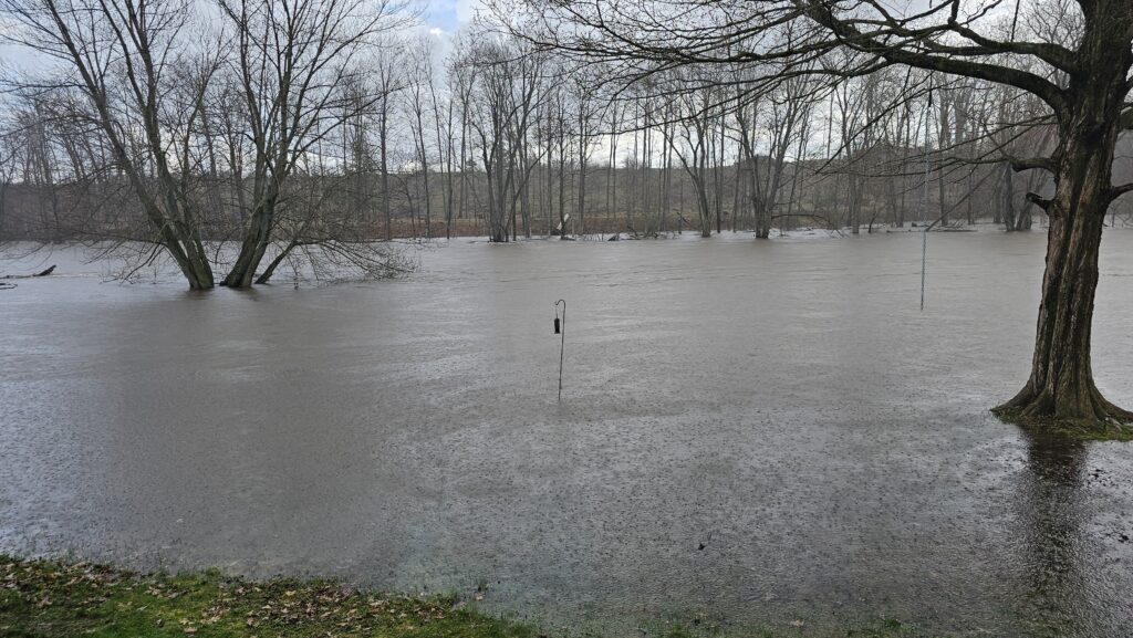 Photos of the Muskegon River engulfing Ferris Professor David Takitakis yard.